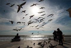 Власти Крыма попросили закрыть границу с Украиной из-за коронавируса