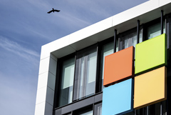 Падение котировок Microsoft в понедельник было максимальным с 2000 года