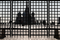 Оперштаб по COVID-19 опроверг информацию о комендантском часе в Москве