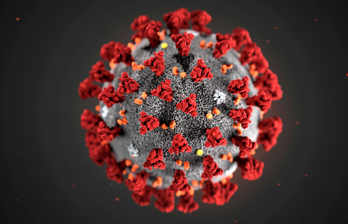 В США число заразившихся коронавирусом превысило 7 млн человек