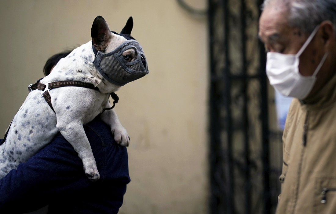 23 марта. Власти Гонконга приняли решение ввести двухнедельный запрет на въезд людей, не являющихся жителями этого специального административного района Китая. Границы будут закрыты с 25 марта. В Гонконге зарегистрировано 334 случая заражения COVID-19, четверо инфицированных скончались.