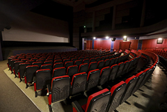 Регионам РФ рекомендовано закрыть кинотеатры и запретить кальяны в барах