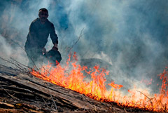 В России выросло число природных пожаров на фоне малоснежной зимы и тепла