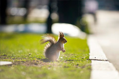 Март в Москве оказался вторым по теплу за всю историю наблюдений