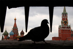 Эксперты рассказали, как выживает рынок посуточной аренды жилья в Москве