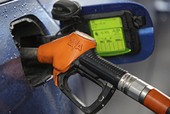 Новак допустил снижение спроса на автозаправках в России на 40%