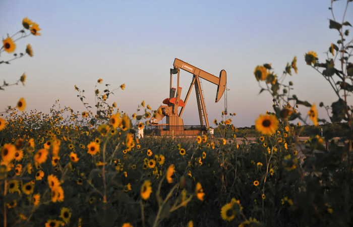 Нефтекомпании США разделились по вопросу об участии в сокращении добычи