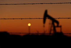 WTI подешевела до $12,69 за баррель