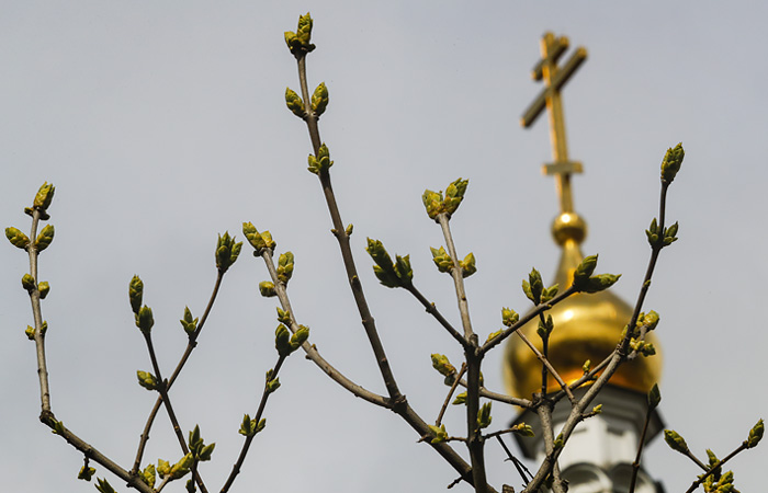 Патриарх Кирилл запретил в священнослужении протодиакона Кураева
