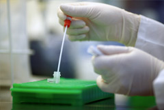 Прокуратура проверит публикации, обвиняющие ГНЦ "Вектор" в изобретении коронавируса