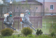 Число заразившихся COVID-19 в Белоруссии за сутки выросло на 784 человека