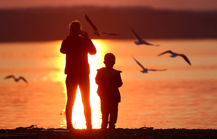 Запрос на детские выплаты стал самым популярным за всю историю портала госуслуг