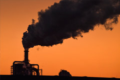 Выбросы СО2 в мире сократились на 17% в разгар ограничений из-за коронавируса