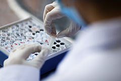 Росреестр опроверг сообщения о болезни главы ведомства