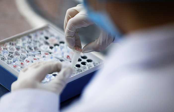 Росреестр опроверг сообщения о болезни главы ведомства