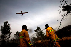 В Израиле из-за жары вспыхнули лесные пожары