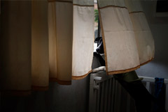 Минюст решил не штрафовать за собачий лай и сработавшую сигнализацию