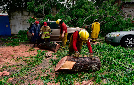 Фотохроника 4 июня