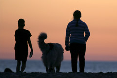 МЧС предложило регионам увеличить площади пляжей ради соцдистанцирования