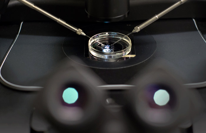 Внутри РПЦ возникла полемика о допустимости ЭКО