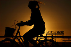 Путин констатировал, что сроки открытия зарубежных стран для туристов из РФ предсказать нельзя