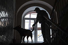 МВД сообщило о резком росте числа экстремистских преступлений с начала года