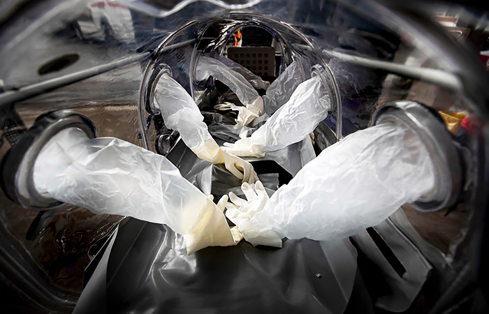 В мире от COVID умерло почти 616 тысяч человек, заразились 14,9 млн