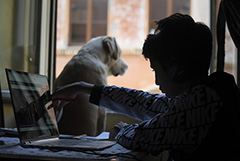 В РФ стартует эксперимент по дистанционному обучению школьников