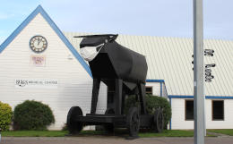 Новая Зеландия перенесла парламентские выборы из-за коронавируса