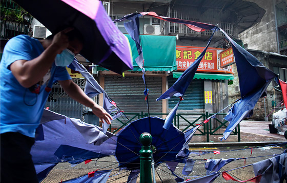 Фотохроника 19 августа