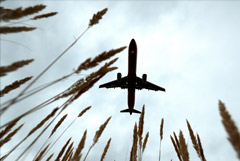 РФ возобновляет международные рейсы еще из трех городов