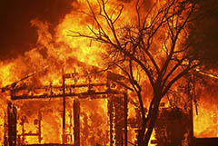 Власти Калифорнии назвали историческими природные пожары в 2020 году