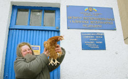 Россельхознадзор запретил транзит по РФ скота и птицы с Украины