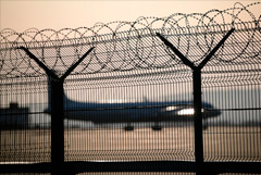 Украина заочно арестовала 65 самолетов за рейсы в Крым