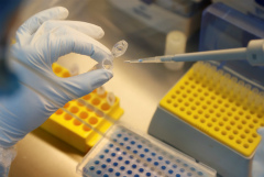 В России за сутки зарегистрированы 5 488 новых случаев COVID-19