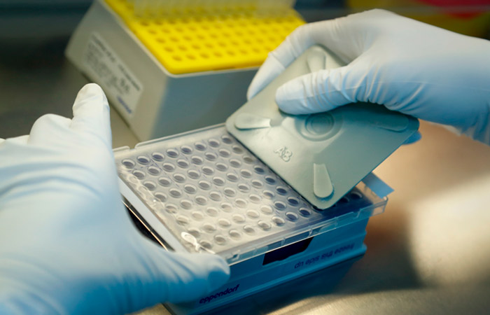 "Вектор" начал клинические испытания второго в мире препарата от оспы