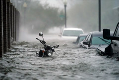 Полмиллиона американцев остались без электричества из-за шторма "Салли"