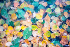 Синоптики предупредили о первых заморозках в столичном регионе