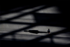 Названы имена и предмет интересов дипломатов, которых вышлют из Болгарии