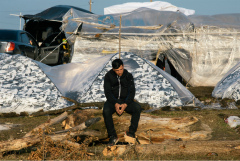 Из Самарской области уехали последние мигранты из Узбекистана