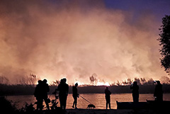 В Воронежской области площадь природных пожаров превысила 320 га