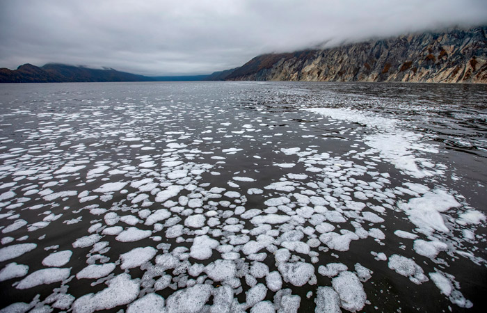 Материалы по Камчатке направлены в СК для возбуждения уголовного дела
