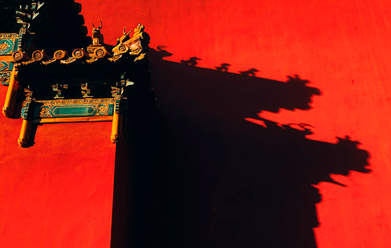 Лучшие фото недели