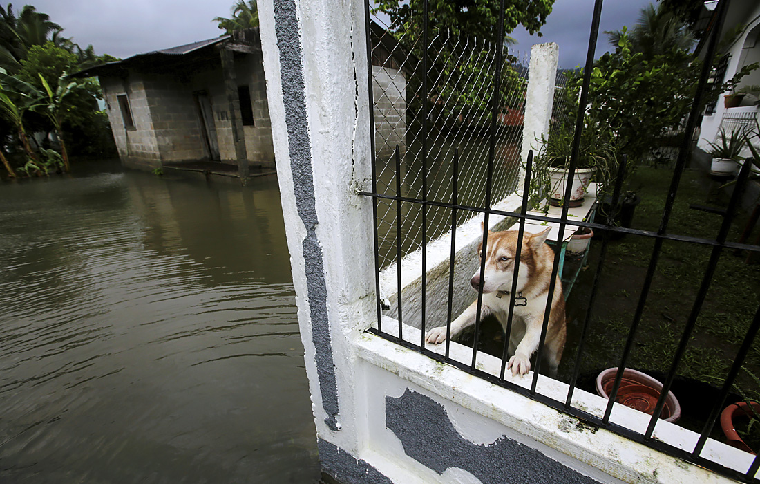 На Гондурас надвигается ураган "Эта". Ожидается, что стихия может принести до 76 см осадков.