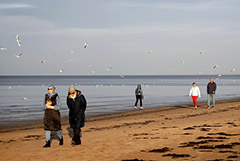 Литва и Латвия поставили антирекорды по заражениям и смертям от COVID