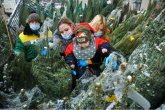 Более 200 ёлочных базаров открылись в Москве