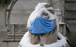 Заболеваемость коронавирусом в США вышла на пик с начала пандемии