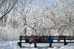 Дума приняла законы о восстановлении вытрезвителей