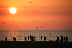 В Сочи установлен температурный рекорд