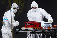 В России число случаев COVID-19 за сутки превысило 24,7 тыс.